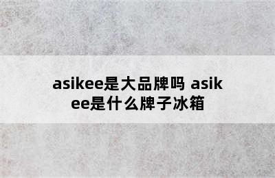 asikee是大品牌吗 asikee是什么牌子冰箱